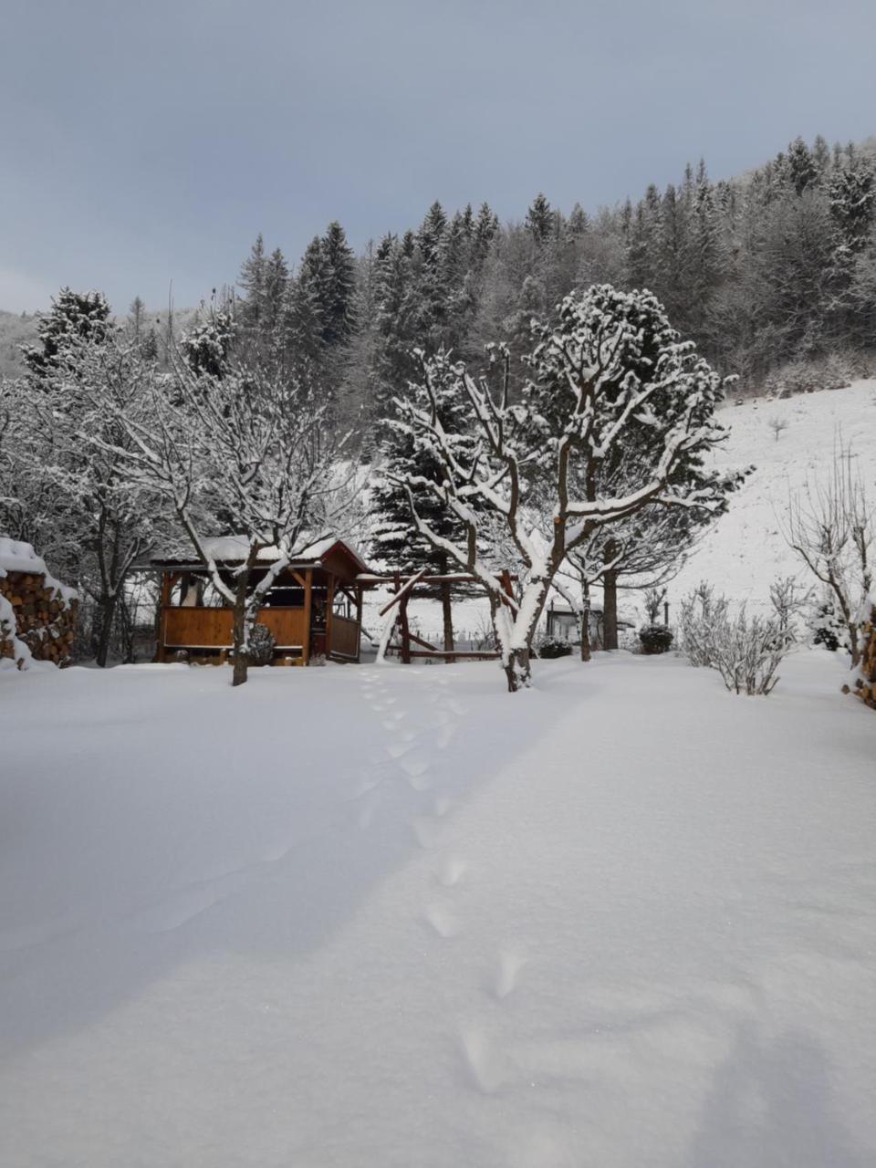Rekreacny Domcek Judka Villa เดดินกี ภายนอก รูปภาพ